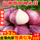 正宗云南紫皮独头蒜10斤紫皮大蒜农家蔬菜独蒜大蒜头红皮湿蒜 包邮