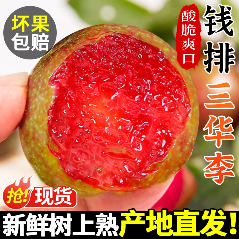 250g 25-30g 5AƷ��ح����Ǯ��������ح�����