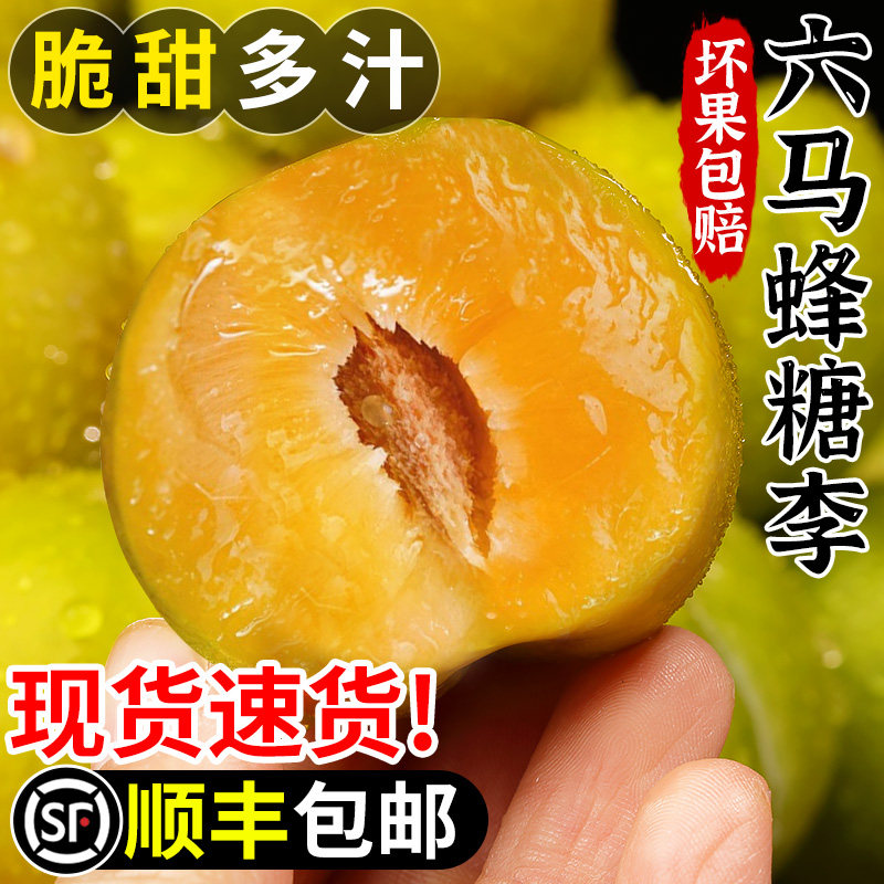 顺丰正宗贵州六马蜂糖李新鲜李子当季水果脆甜蜂蜜三华李现摘现发