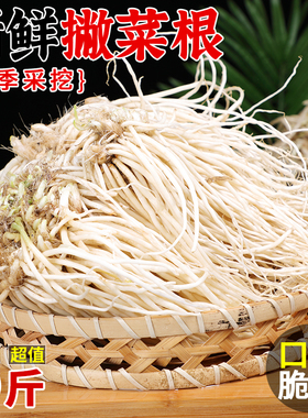 新鲜撇菜根5斤苤菜根大韭菜根月子良菜牛皮撇菜根可腌制蔬菜包邮