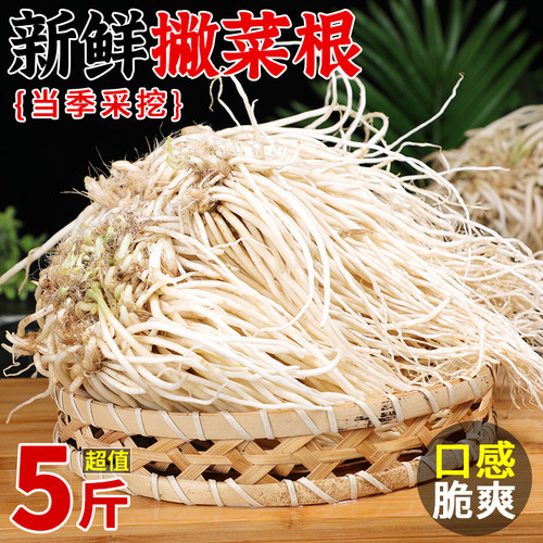 新鲜撇菜根，佤族风味月子良菜