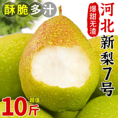 库尔勒新品种香梨新梨7号10斤当季梨子新鲜水果冰糖雪梨整箱包邮5