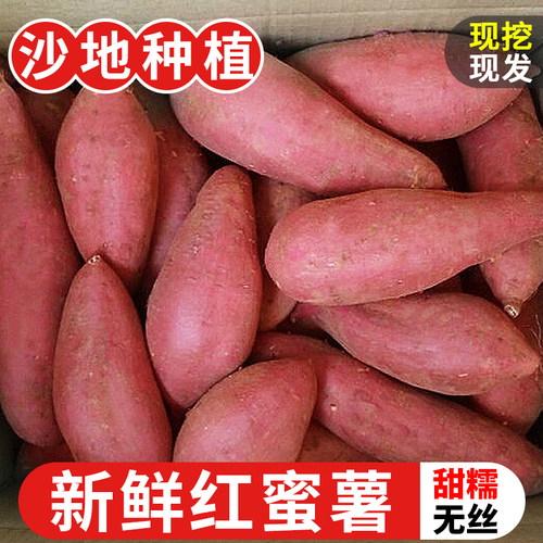 【现挖现发】西瓜红蜜薯！香甜
