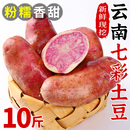 云南七彩土豆10斤新鲜现挖红皮红心小土豆马铃薯洋芋当季 蔬菜整箱