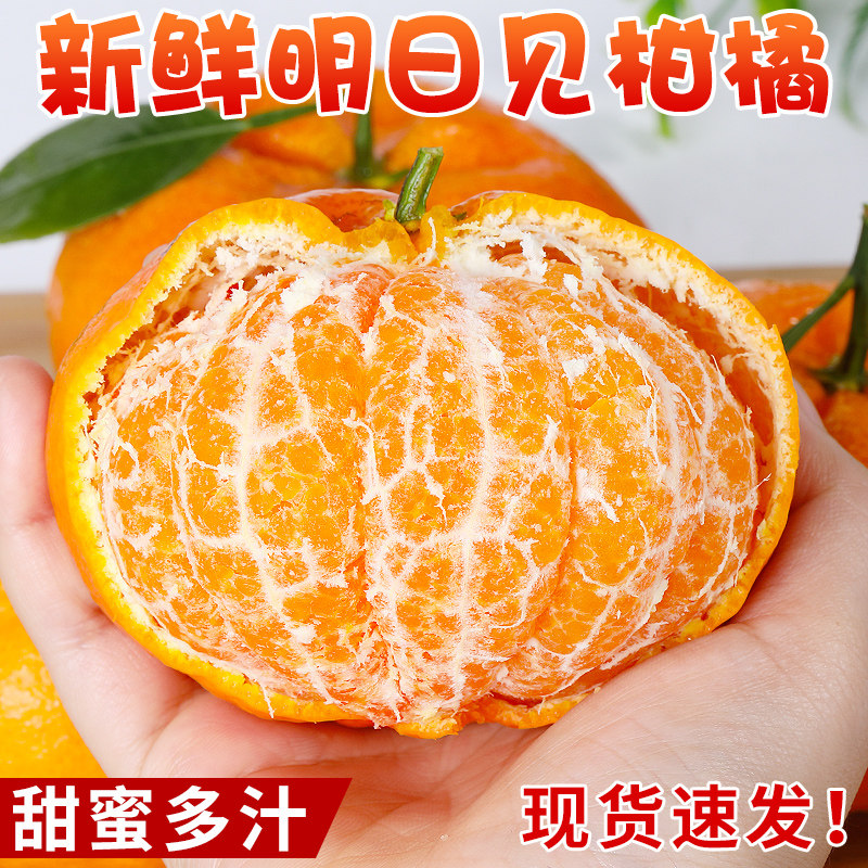 正宗四川明日见柑橘新鲜水果当季现摘甜桔子耙耙柑桔大果整箱包邮,水产肉类/新鲜蔬果/熟食,桔子,淘宝优惠券,粉丝福利购,淘宝优惠卷