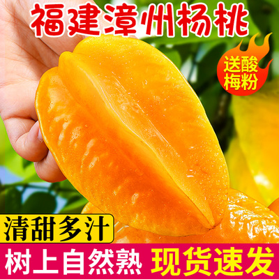 自然熟!漳州甜杨桃！清甜多汁!