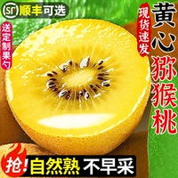 四川黄心猕猴桃奇异果新鲜水果应当季现摘弥猴桃大果孕妇整箱礼盒