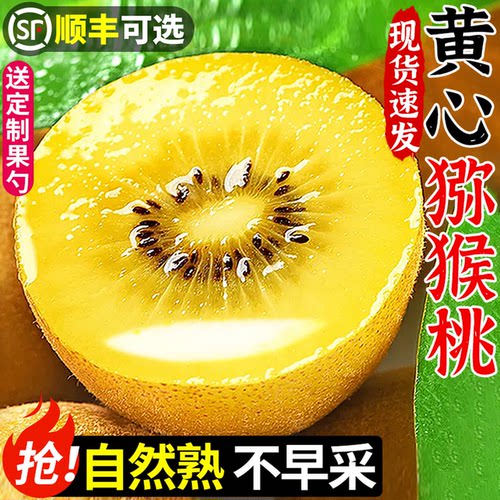 【黄心猕猴桃】精选品质！自然熟
