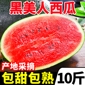 新鲜黑美人西瓜10斤时令薄皮大西瓜沙瓤甜西瓜麒麟瓜当季水果包邮