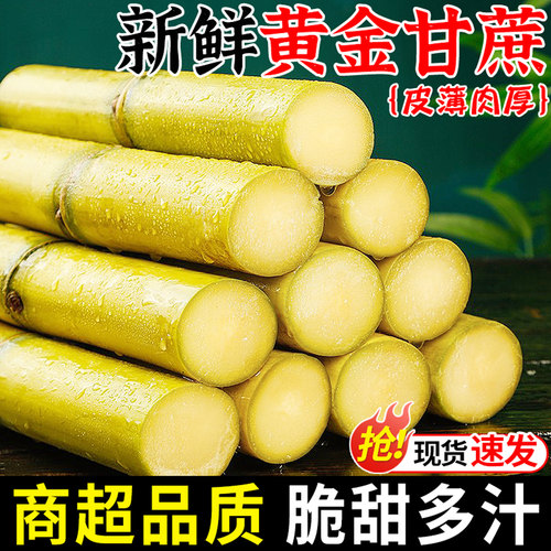 广西黄金甘蔗！精选中段！脆甜