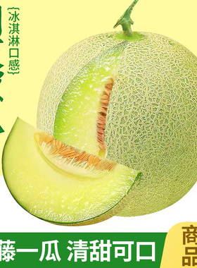海南网纹蜜瓜新鲜水果当季现摘冰淇淋哈密瓜玫珑海阳蜜瓜甜瓜包邮