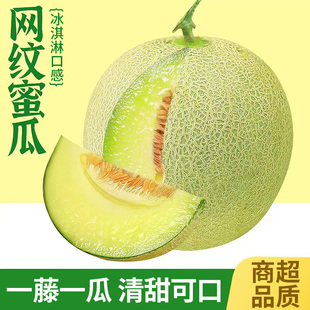 海南网纹蜜瓜新鲜水果当季现摘冰淇淋哈密瓜玫珑海阳蜜瓜甜瓜包邮