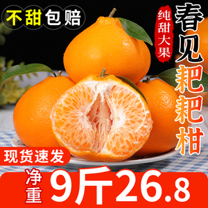 四川春见耙耙柑10斤新鲜橘子当季现摘正宗丑八怪粑粑柑丑柑桔包邮
