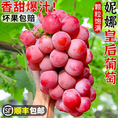 顺丰速发!妮娜皇后葡萄!脆甜无籽