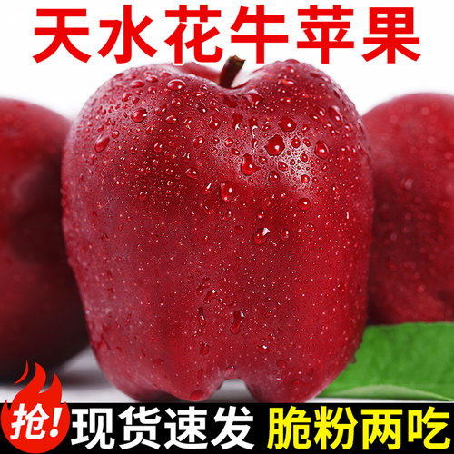 精选品质!天水花牛苹果!粉糯香甜
