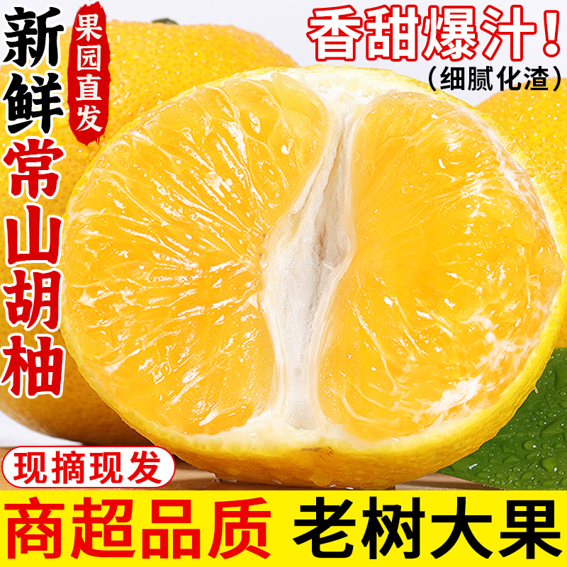 老树大果！常山胡柚！清甜多汁！