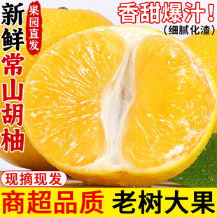 正宗常山胡柚新鲜柚子当季水果现摘黄肉蜜柚金柚西柚大果整箱包邮