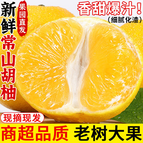 老树大果！常山胡柚！清甜多汁！
