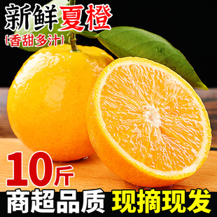 夏橙新鲜橙子10斤当季时令水果现摘手剥果冻橙子冰糖甜橙脐橙整箱