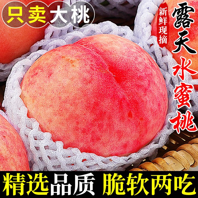 【热卖】露天水蜜桃!精选品质!