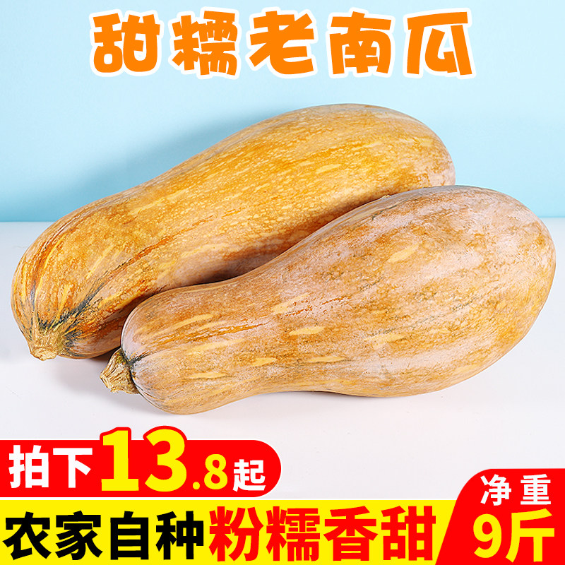 板栗老南瓜9斤粉糯甜长黄南瓜贝贝南瓜农家自种新鲜宝宝辅食包邮5