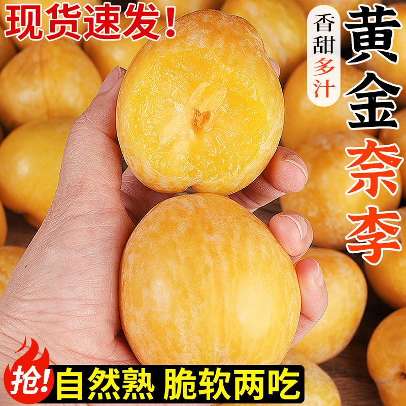 正宗黄金奈李当季新鲜水果现摘九峰山脆甜冰糖脱骨李大果整箱包邮 - 实物图