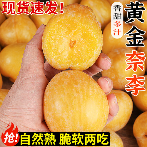 果园直发！正宗黄金奈李！脆甜
