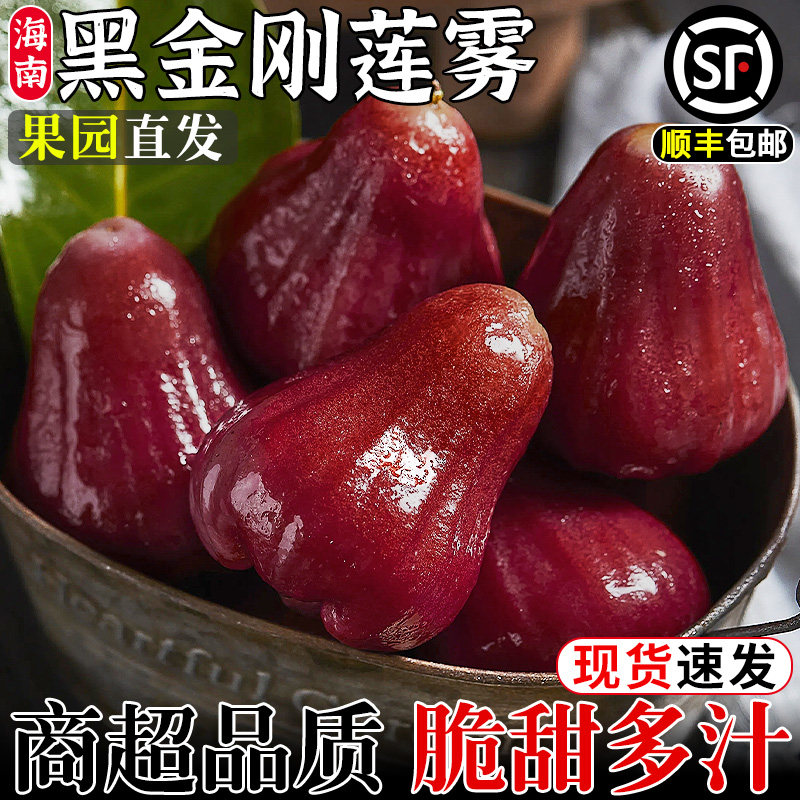 顺丰海南黑金刚莲雾5斤新鲜水果当季现摘正宗红宝石连雾果树上熟3,水产肉类/新鲜蔬果/熟食,莲雾,淘宝优惠券,粉丝福利购,淘宝优惠卷