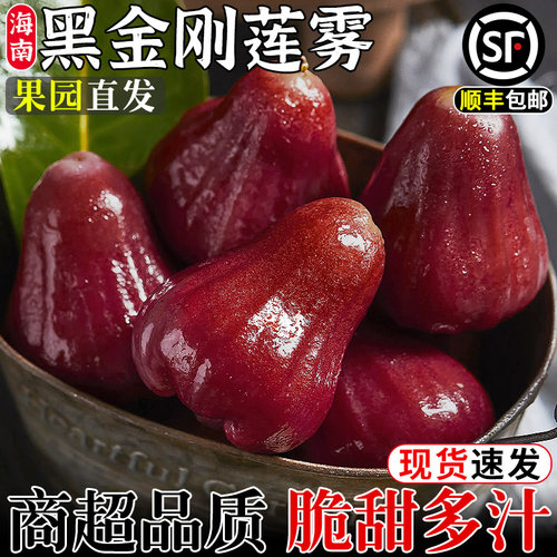 商超精品!海南莲雾果！脆甜多汁!