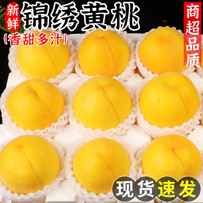 锦绣黄桃新鲜水果正宗黄金蜜桃当季脆甜蒙阴毛桃露天蜜桃大果整箱