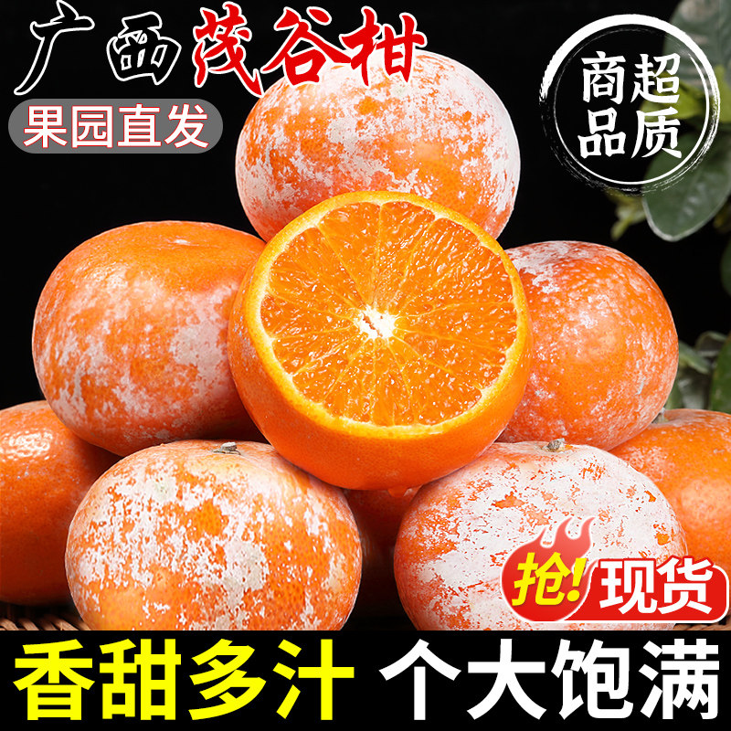 正宗广西茂谷柑新鲜沃柑当季水果薄皮脏脏柑橘石灰柑橘子整箱包邮