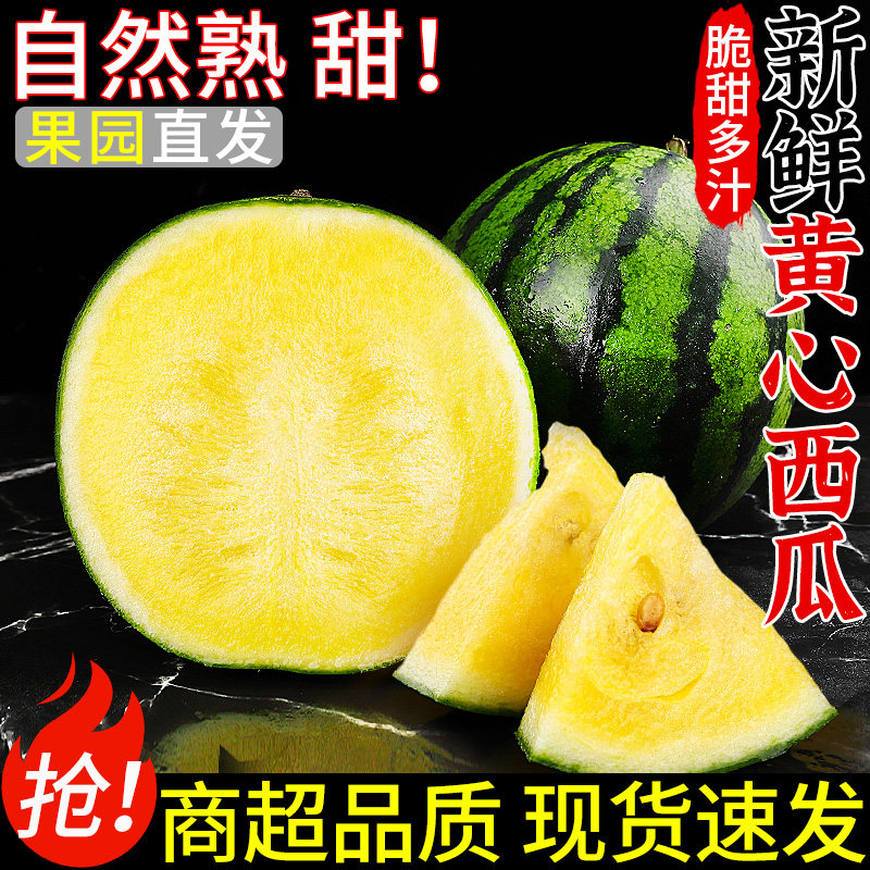 现摘现发！黄心甜西瓜！皮薄肉嫩