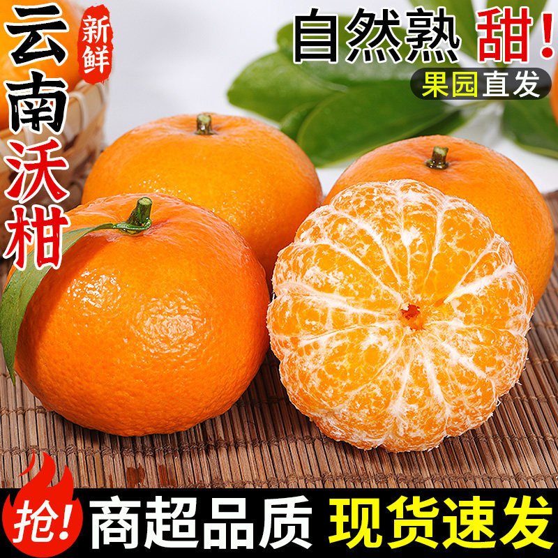 云南高山沃柑新鲜橘子水果当季整箱沙糖蜜橘砂糖柑橘现摘包邮