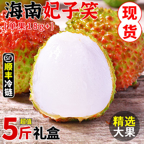 精选品质丨海南妃子笑丨老树大果