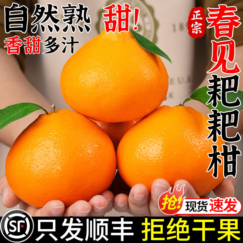 顺丰正宗四川春见耙耙柑新鲜橘子水果应当季现摘粑粑柑桔大果整箱