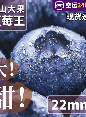 云南蓝莓鲜果新鲜高端水果当季怡颗高山L25花香孕妇整箱包邮顺丰