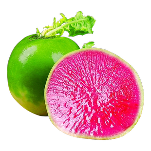 心里美萝卜10斤绿皮红心胭脂萝卜当季新鲜脆甜水果型生吃蔬菜包邮