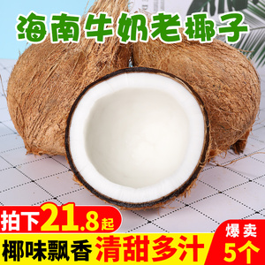 海南老椰子新鲜5个装当季椰宝国牛奶椰皇毛椰子孕妇水果现摘椰青