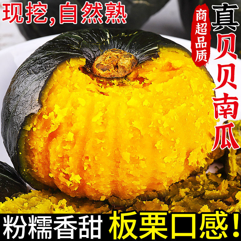 正宗贝贝南瓜新鲜板栗味小南瓜当季甜粉糯婴儿小南瓜农家蔬菜整箱