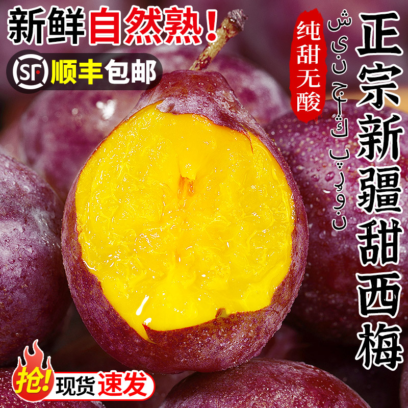正宗新疆甜西梅5斤当季新鲜水果现摘法兰西脆甜西梅李子顺丰包邮3