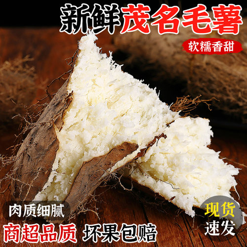 现挖丨新鲜茂名毛薯丨粉糯香甜