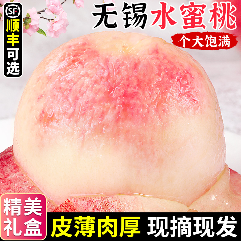 正宗無錫水蜜桃當(dāng)季水果新鮮整箱現(xiàn)摘白鳳軟桃甜毛桃大果順豐禮盒
