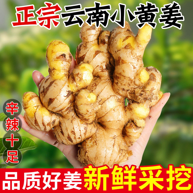 云南小黄姜鲜生姜老姜当季农家自种现挖高山沙姜土姜嫩姜蔬菜包邮
