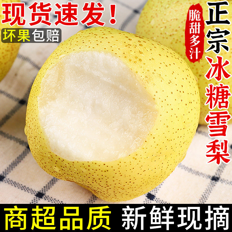 正宗冰糖雪梨新鲜水果当季现摘黄冠梨脆甜古树梨酥梨整箱包邮
