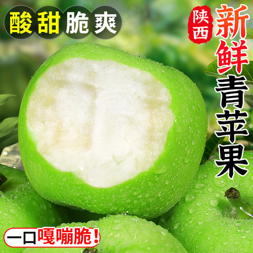现摘现发丨新鲜青苹果丨酸甜脆爽