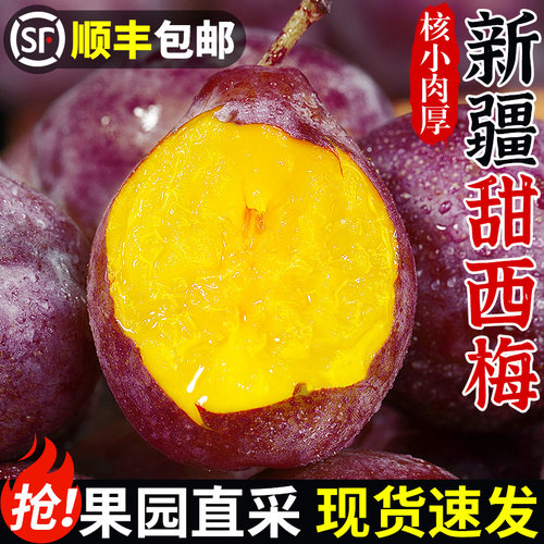 现摘！正宗新疆甜西梅！自然熟！