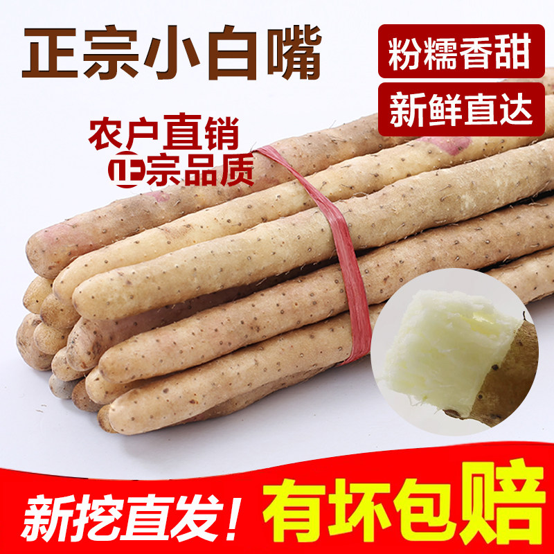 正宗小白嘴山药铁棍新鲜淮山药