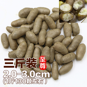2025新鲜铁棍山药豆正宗铁杆淮山药小白嘴山药蛋山药种大号3斤装