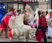 小矮马游乐园巡游天使翅膀飞马道具装 饰