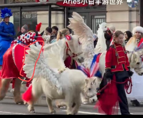 舞台表演小矮马天使翅膀道具
